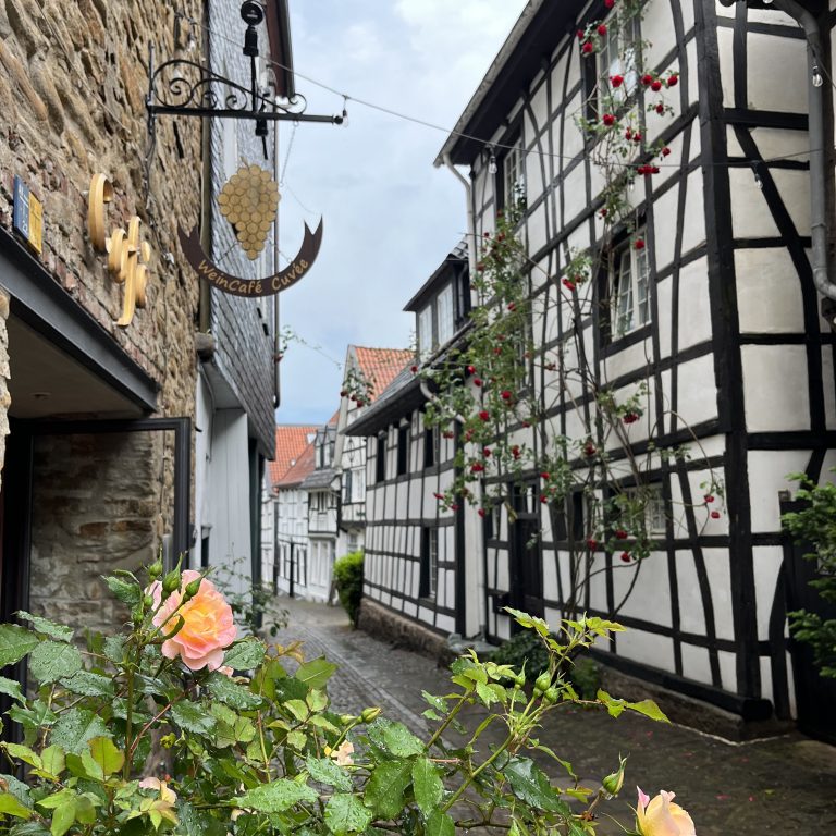 20220519_140525486_iOS