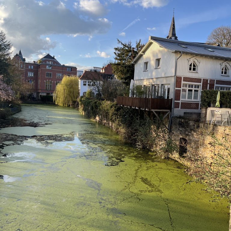 20230318_163213505_iOS